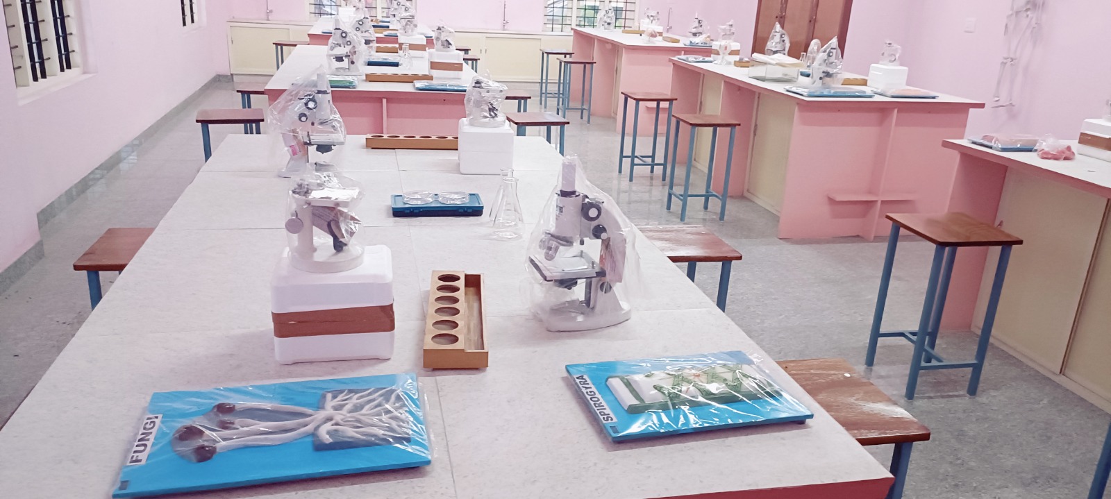 WhatsApp Image 2025-10-24 at 11.43.49